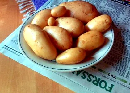 egészséges