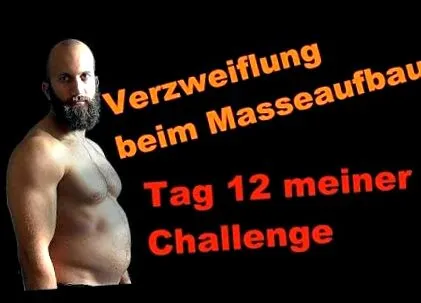 zsír