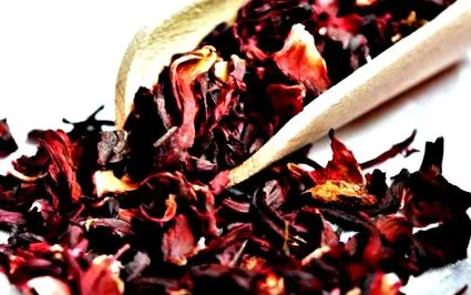 hibiszkusz