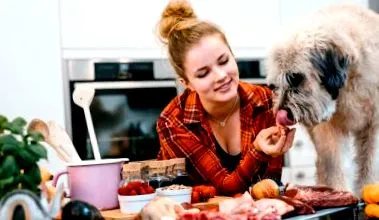 dogtable