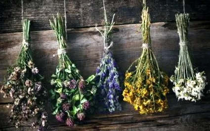 florilor