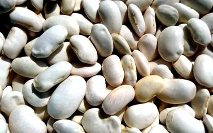 beneficii