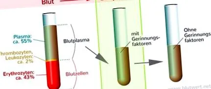 compoziția valorile