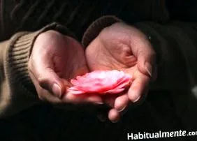 всеки