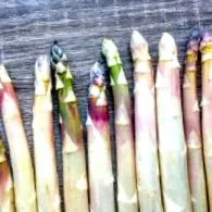 alimentară