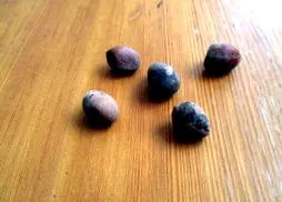camalonga