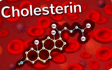 colesterolul