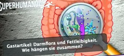 elhízás