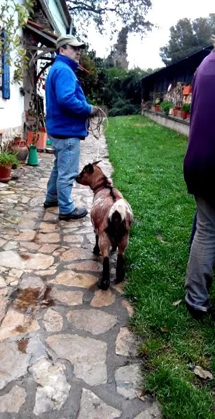 való
