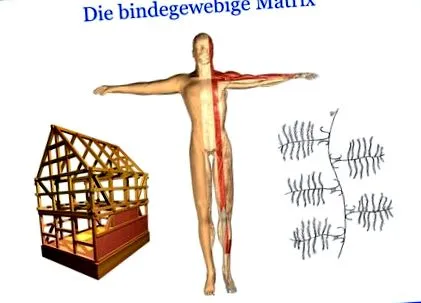 matricea