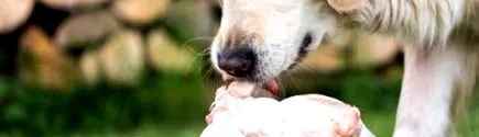 animalelor