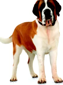 kilók