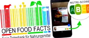 döntéshozatali