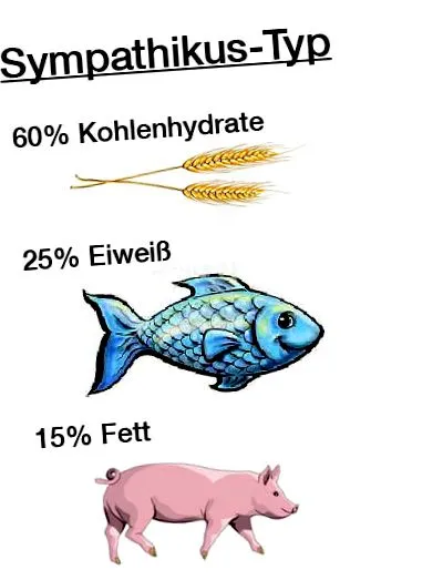 típus