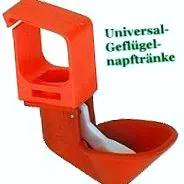 перепели
