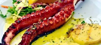 стравот нови