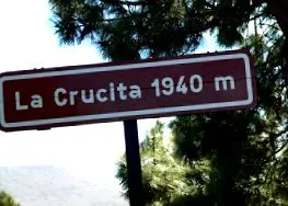 inteligentă