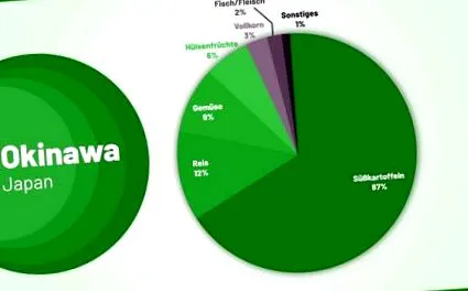megállapítások