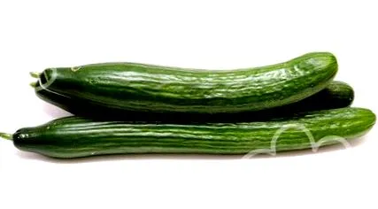 szénhidrát nélküli