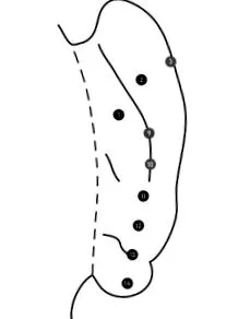 springerlink-en springerlink-en