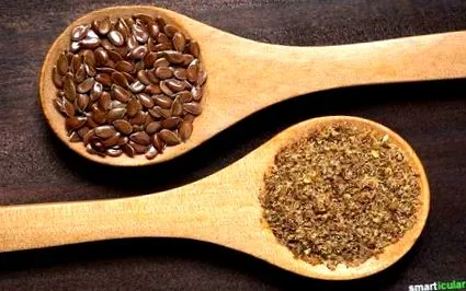 conțin