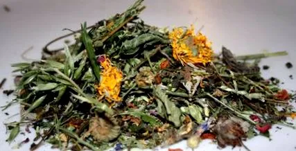 dieta