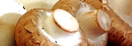 gomba