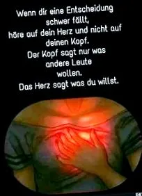 impulzus-étrendet