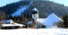 descărcați