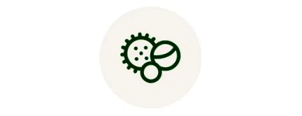 exerciții
