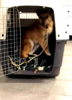 номиналната такса