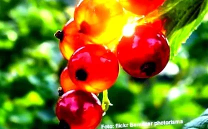 echilibru