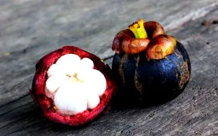 bombă exotic