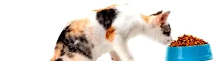 éhen