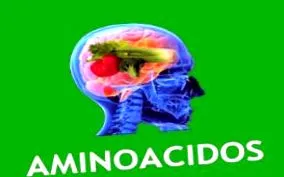 aminosavak