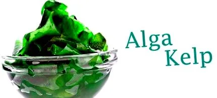 moszat alga