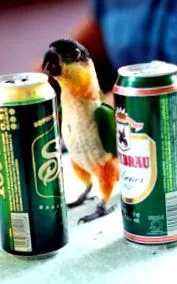 nesănătoasă