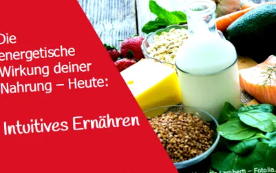 alimentelor