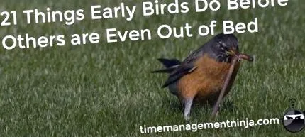 managementul