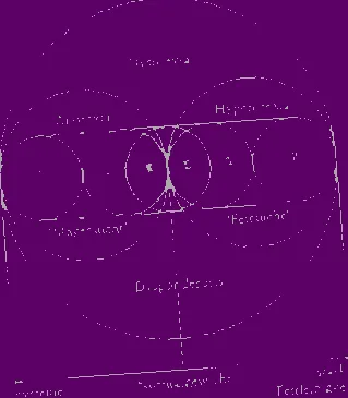 proiect