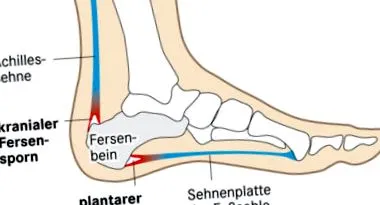 physiozentrum
