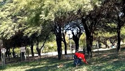 koordináció