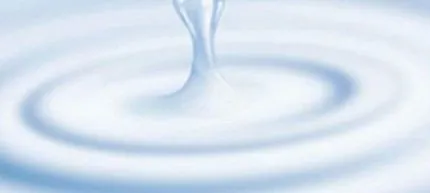 tippek zsíros