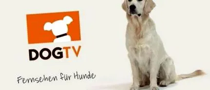 televizor