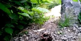videogaléria