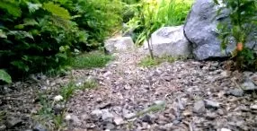 videogaléria