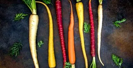 non-vegani