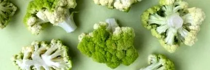 alimentară