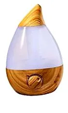 cartea stefan