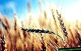 природата